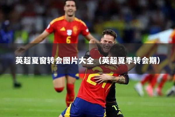 英超夏窗转会图片大全（英超夏季转会期）