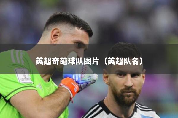 英超奇葩球队图片（英超队名）