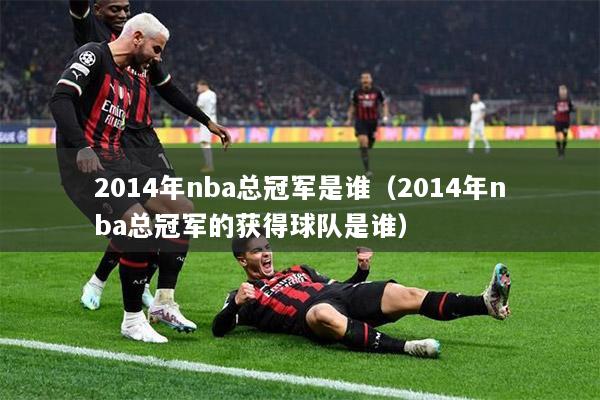 2014年nba总冠军是谁（2014年nba总冠军的获得球队是谁）
