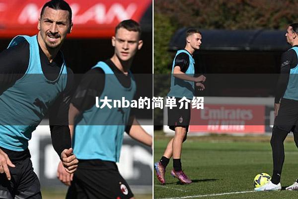 l大nba的简单介绍