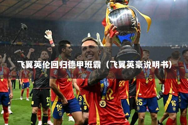 飞翼英伦回归德甲班霸（飞翼英豪说明书）