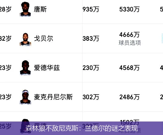 森林狼不敌尼克斯：兰德尔的谜之表现