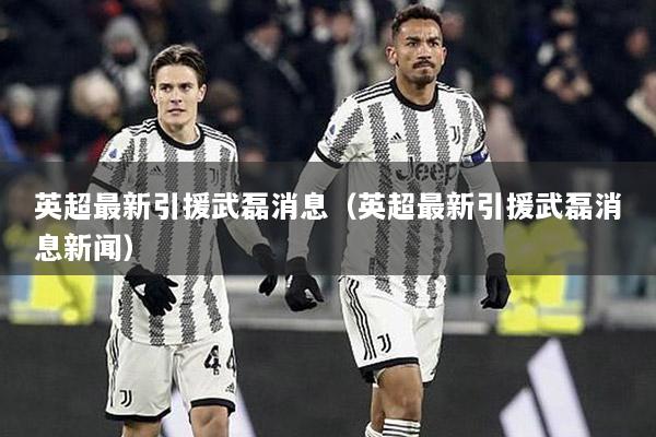 英超最新引援武磊消息（英超最新引援武磊消息新闻）