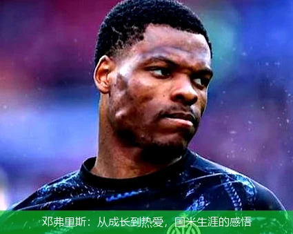 邓弗里斯：从成长到热爱，国米生涯的感悟