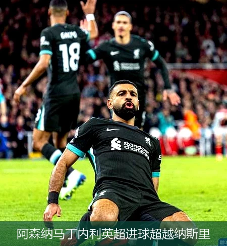阿森纳马丁内利英超进球超越纳斯里