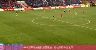 7月2日, 苏莱马纳的贝加莫魔法：体检夜的命运之舞