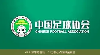 7月6日, 梦想的召唤：2.5万颗心点燃绿茵希望