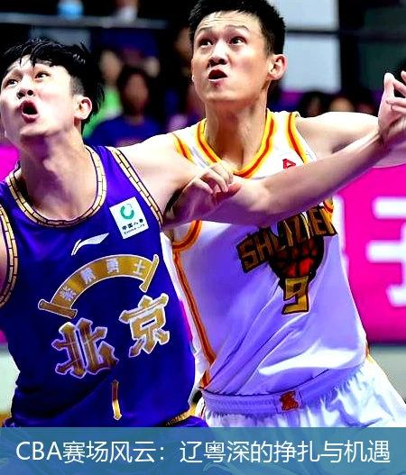 CBA赛场风云：辽粤深的挣扎与机遇