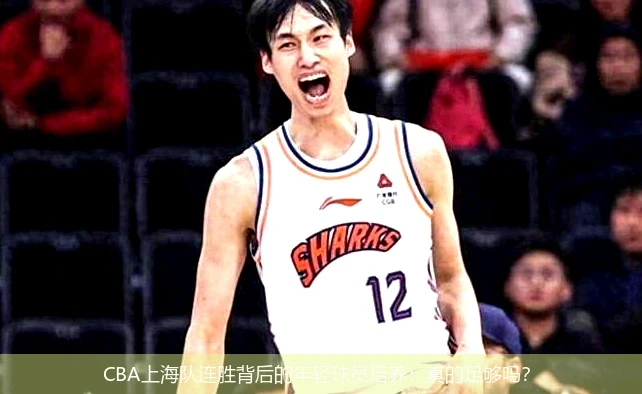 CBA上海队连胜背后的年轻球员培养：真的足够吗？