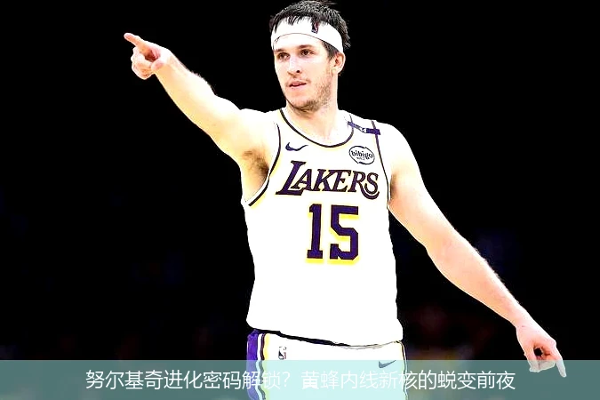 努尔基奇进化密码解锁?黄蜂内线新核的蜕变前夜