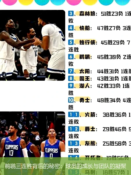 鹈鹕三连胜背后的秘密:球员的成长与团队的凝聚
