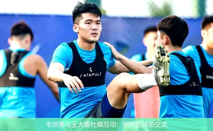 韦世豪与王大雷社媒互动：别样的球员交流