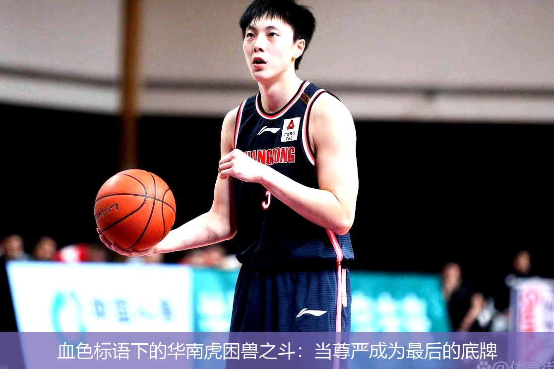 4月20日讯,血色标语下的华南虎困兽之斗：当尊严成为最后的底牌