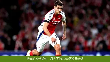 6月25日,特奥的沙特契约：月光下的2000万欧元迷梦